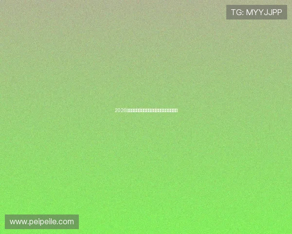 2026最新免费网球直播平台推荐观看指南与使用攻略